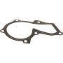 Genuine OEM Water Pump Gasket BE8Z8507A