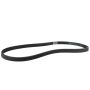 Genuine OEM BL3Z8620D Accessory Belt