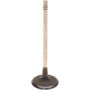 Genuine OEM Intake Valve BM5Z6507B