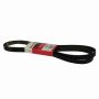 Genuine OEM BT1Z8620A Accessory Belt