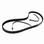 Genuine OEM BT4Z8620B Accessory Belt