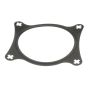Genuine OEM FI Throttle Body Mount Gasket C2C17430