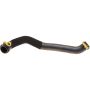 Genuine OEM Radiator Hose C2D6004