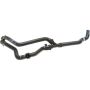 Genuine OEM Expansion Tank Hose C2P24831
