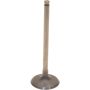 Genuine OEM Intake Valve C2S4936