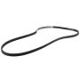 Genuine OEM CM5Z8620DA Accessory Belt