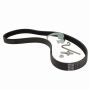 Genuine OEM CN1Z8620E Accessory Belt
