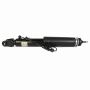 Genuine OEM DA5Z18125F Shock and Strut