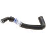 Genuine OEM DB5Z8C289C Expansion Tank Hose