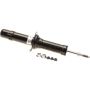 Genuine OEM Strut Assembly E61104GC0C