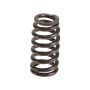 Genuine OEM Valve Spring ER3Z6513B