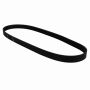 Genuine OEM F1EZ8620A Accessory Belt