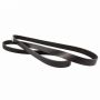 Genuine OEM FR3Z8620B Accessory Belt