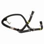 Genuine OEM HC2Z8B081D Radiator Hose