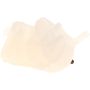 Genuine OEM Expansion Tank HG9Z8A080B