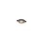 Genuine OEM Radiator Cap KF0115205