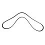 Genuine OEM L1MZ8620D Accessory Belt
