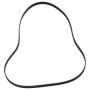Genuine OEM LC3Z8620C Accessory Belt
