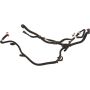Genuine OEM LX6Z9D289SH Evaporative Emissions Lines