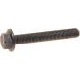 Genuine OEM Camshaft Bolt N10488302