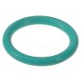 Genuine OEM Water Pump Hsng O-Ring WHT000881