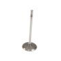 Genuine OEM XL3Z6507AA Intake Valve
