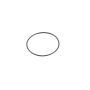 Genuine OEM Crankshaft O-Ring XR81139