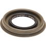 Genuine OEM Diff. Side Cover Seal XR821244