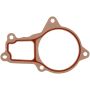 MAHLE K32004 Engine Water Pump Gasket