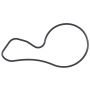 MAHLE K32447 Engine Water Pump Gasket