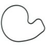 MAHLE K33409 Engine Water Pump Gasket