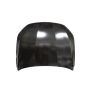 CAPA HOOD PANEL ASSY KIA K5 21-C