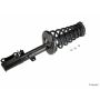 KYB SHOCKS SR4036 3 Nuts