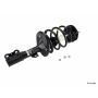 KYB SHOCKS SR4055 3 Nuts