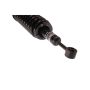 KYB SHOCKS SR4134 3 Nuts