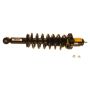 KYB SHOCKS SR4218 2 Nuts
