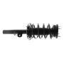 KYB SHOCKS SR4282 4 Nuts