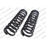 LESJOFORS 4112113 Two Front Coil Springs