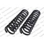 LESJOFORS 4112117 Two Front Coil Springs