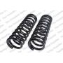 LESJOFORS 4112124 Two Front Coil Springs