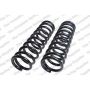 LESJOFORS 4112125 Two Front Coil Springs