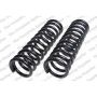 LESJOFORS 4112129 Two Front Coil Springs
