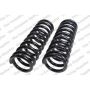 LESJOFORS 4112141 Two Front Coil Springs