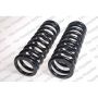 LESJOFORS 4112143 Two Front Coil Springs