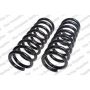LESJOFORS 4112155 Two Front Coil Springs