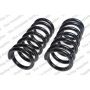 LESJOFORS 4114201 Two Front Coil Springs