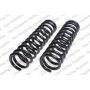 LESJOFORS 4114205 Two Front Coil Springs