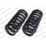 LESJOFORS 4114209 Two Front Coil Springs