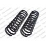 LESJOFORS 4114218 Two Front Coil Springs