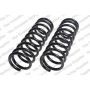 LESJOFORS 4114226 Two Front Coil Springs